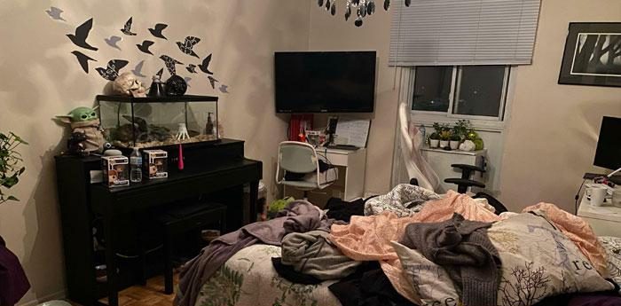 Bedroom Reset &middot; Standard Clean before